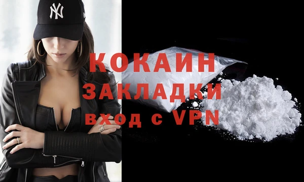дживик Бронницы