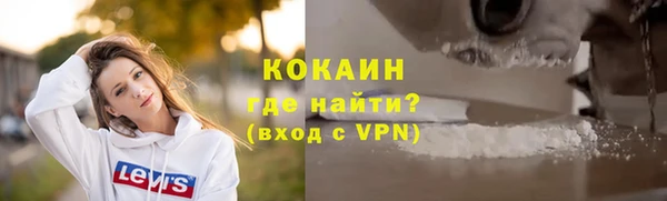 дживик Бронницы