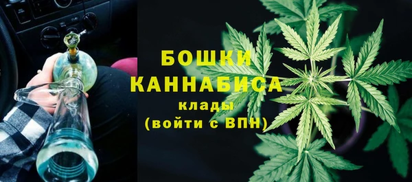 дживик Бронницы