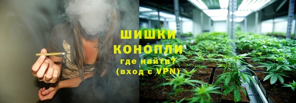 дживик Бронницы